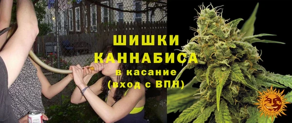 стаф Абдулино