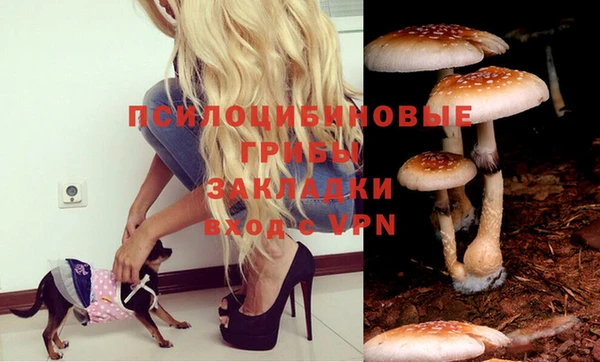 стаф Абдулино