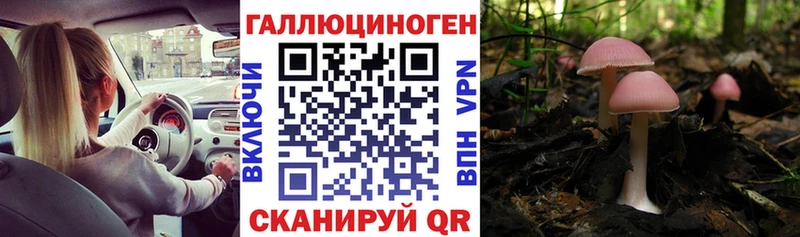 Галлюциногенные грибы мицелий  kraken ТОР  Удомля 